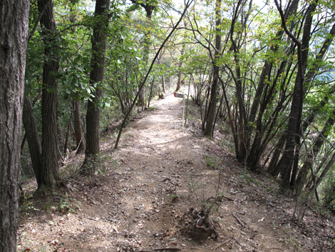 20151006hike (276)
